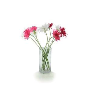 Glass Cylinder Vase 15Diax30Hcm - Clear (02-CYL30)