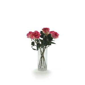 Glass Cylinder Vase 12Diax28Hcm - Clear (02-CYL28X12)