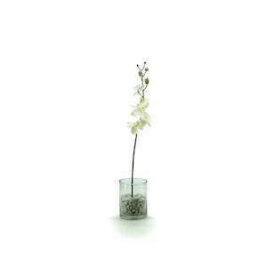 Glass Cylinder Vase 13Diax16Hcm - Clear (02-CYL16)