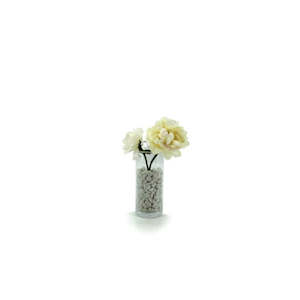 Glass Cylinder Vase 10Diax25Hcm - Clear (02-CYL25X10)