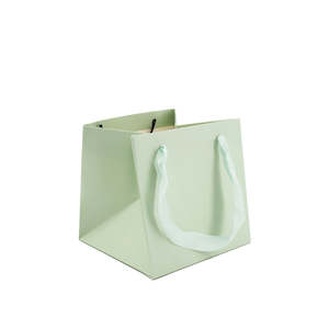 Flower Carrier Bag w/Handles 15Sqx15Hcm Pk/10 - Soft Green