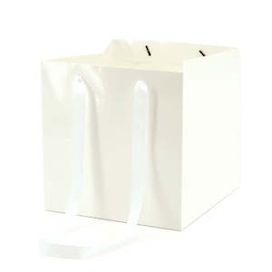 Oceans Boxes Bags Flower Bags: Flower Carrier Bag w/Handles Medium 25Sqx25Hcm Pk/10 - White