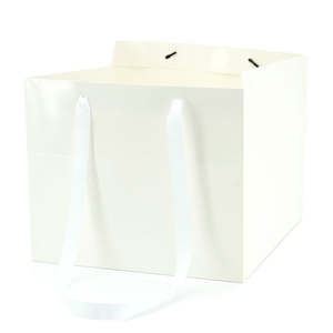 Oceans Boxes Bags Flower Bags: Flower Carrier Bag w/Handles Large 30Sqx25Hcm Pk/10 - White
