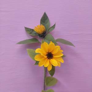 ****Sunflower fresh stems** Yellow*** thinner stems