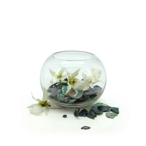 Oceans Glassware: Glass Fish Bowl 11.5TDx20Wx14Hcm - Clear (02-FISH20)