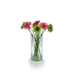 Glass Cylinder Vase 18Diax40Hcm - Clear (02-CYL40)