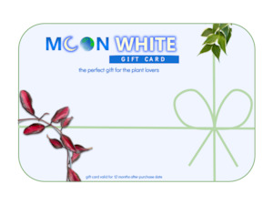 Frontpage: moonwhite.co.nz gift card