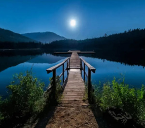 Frontpage: Paint by Number - Moonlit Bridge