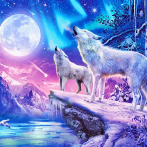 Paint by Number - White Wolf Moon
