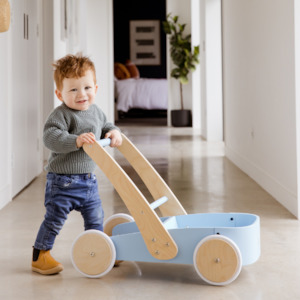 Toys Gifts: Moose Baby Walker