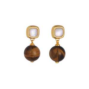 Earrings: Tiger eye gem earrings