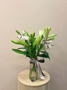 Christmas 2024: Christmas Lilly’s in Vase