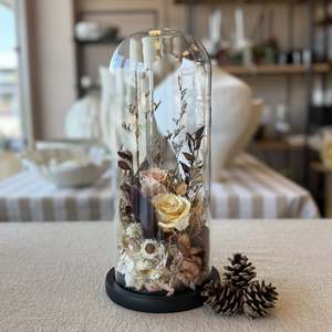 Dried Flowers: Blossom & Honey Dried Floral Dome