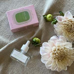 Homeware 1: Ecoya Blackcurrant & Mint Plug in Diffuser Fragrance Flask