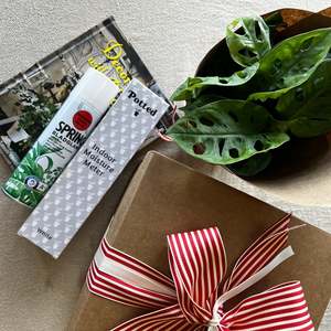 Gift Boxes: Plant Lovers Gift Box