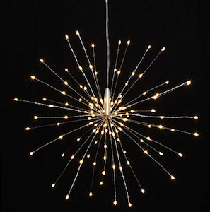 Multifunction Starburst LED Seed Lights/Large-Mains