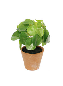 Homeware Faux Plants: Chinese Money Plant Potted