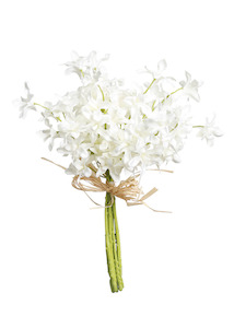 Homeware Faux Plants: Dendrobium Bundle White