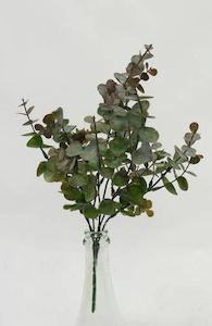 Mini Eucalyptus Bush