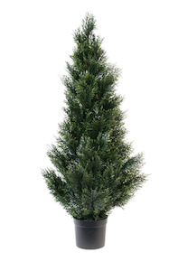 Nua Cedar Topiary Potted 1.2m