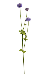 Homeware Faux Plants: Pompom Spray x4 - Purple
