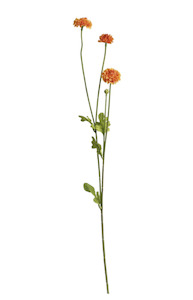 Homeware Faux Plants: Pompom Spray x4 - Orange