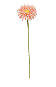 Homeware Faux Plants: Single Mini Gerbera Peach
