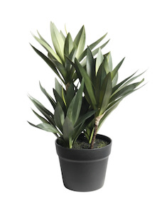 Homeware Faux Plants: Small Dracaena 45cm Potted