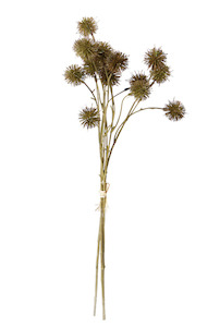 Homeware Faux Plants: Sweet Chestnut Pod Bundle Brown
