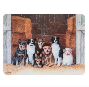 Working Dogs Hay Shed Surface Protector