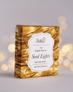 5m Battery Seed Lights - Silver Warm White