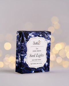 Homeware Seed Lights Led Candles: 2m Seed Lights - Silver Cool White