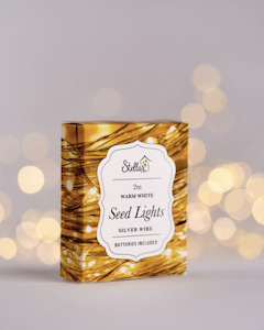 Homeware Seed Lights Led Candles: 2m Seed Lights - Silver Warm White
