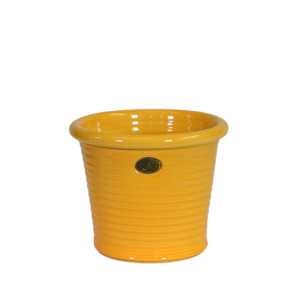 Plain Glaze Pots: Italian Tub Sunflower