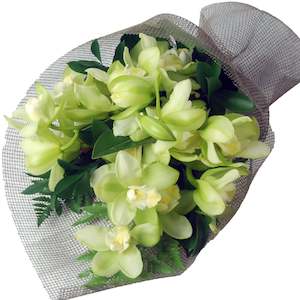 Flowers: Orchids Galore