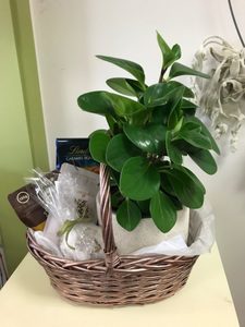 Products: Green Goodness Gift Basket Moss & Co