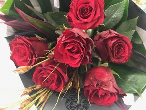 The Sassy Six Moss & Co