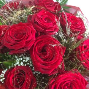 Products: The Dreamy Twelve Moss & Co