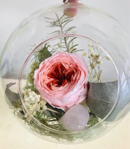Products: Preserved Rose Terrarium Moss & Co