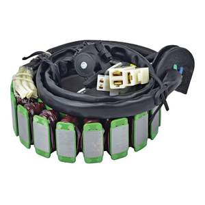 Electrics: Stator Coil 340-58145