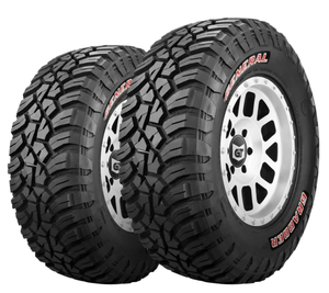 General Tire – Grabber X3
