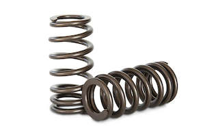 KELFORD Barra Race Valve Springs SET