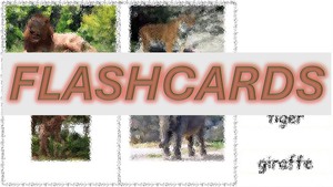 Frontpage: Flashcards