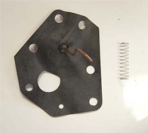 Diaphragm Kit Briggs Vertical late
