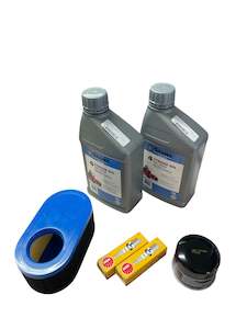 Parts: MTD 439cc Service Kit