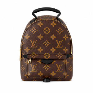 Designer: Louis Vuitton Palm Springs Mini backpack