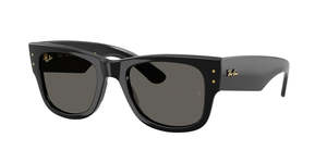 Sunglasses: Ray-Ban RB0840S Sunglasses