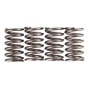 Premier Clutch Springs - Heavy Duty