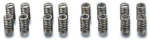 Products: Toda 4age 16v Valve Springs Manon Racing