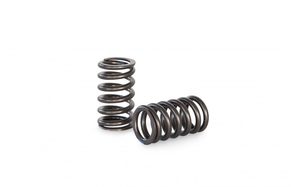 Products: 4age 16v Valve Springs Drop In – Manon Racing